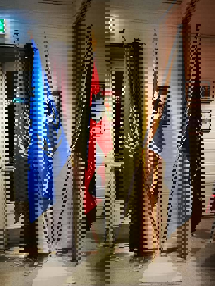 Frigjørings- og veterandagen